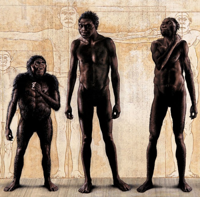 Homo naledi: обнаружен новый вид древних людей - 2