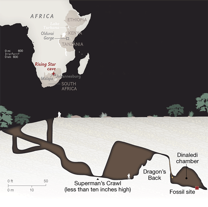 Homo naledi: обнаружен новый вид древних людей - 4