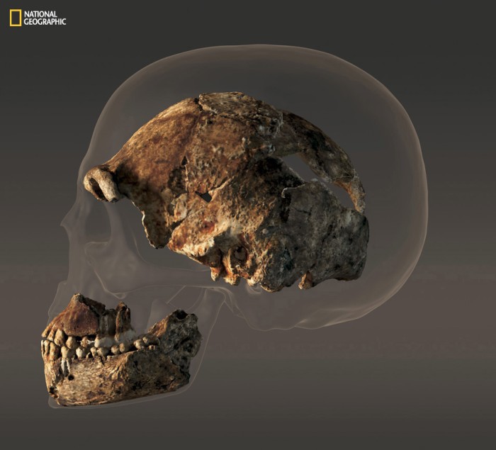 Homo naledi: обнаружен новый вид древних людей - 5