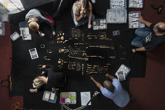 Homo naledi: обнаружен новый вид древних людей - 8 Homo naledi: обнаружен новый вид древних людей - 8