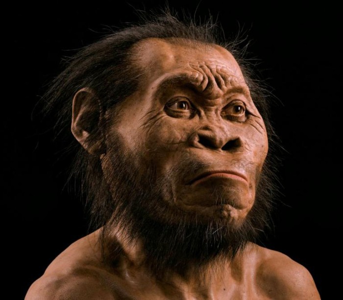 Homo naledi: обнаружен новый вид древних людей - 1