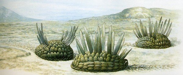 3D-печать в палеонтологии – «воскрешаем» организмы, вымершие миллионы лет назад - 13 Реконструкция Wiwaxia