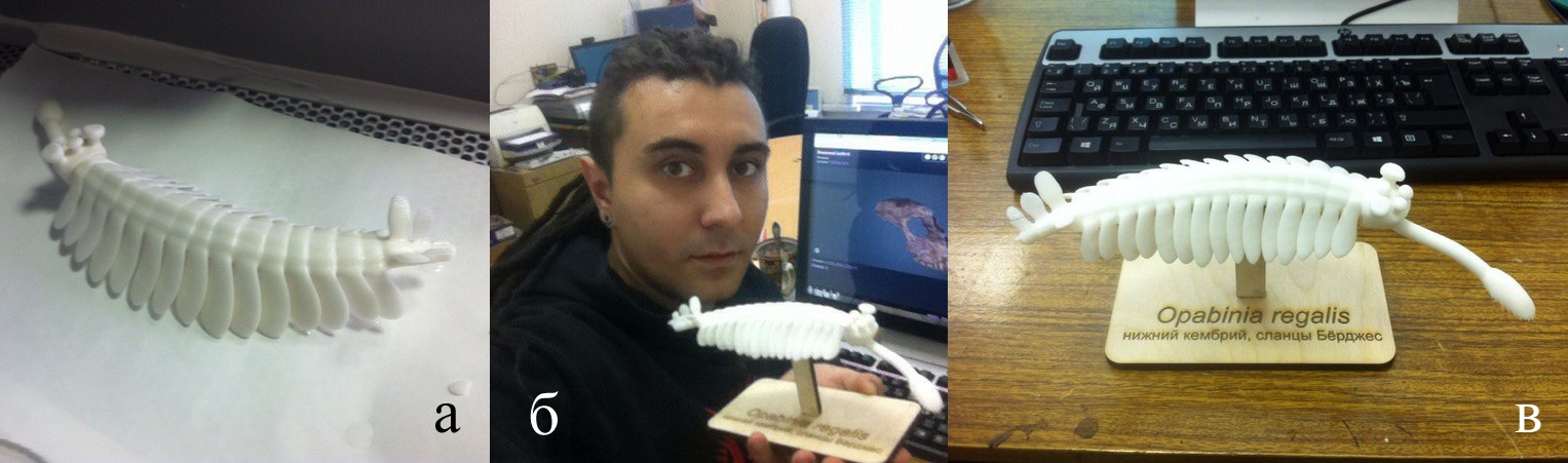 3D-печать в палеонтологии – «воскрешаем» организмы, вымершие миллионы лет назад - 17 Процесс печати