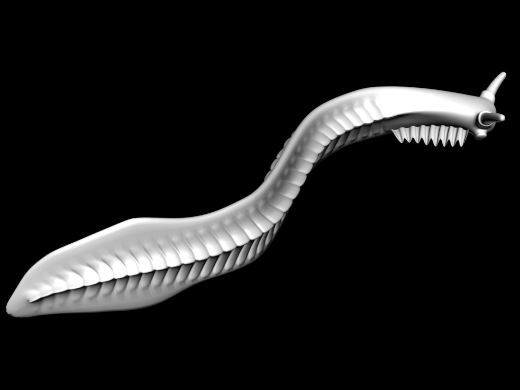 3D-печать в палеонтологии – «воскрешаем» организмы, вымершие миллионы лет назад - 8 Реконструкция Pikaia gracilens, выполненная 3-D моделлером Е.Ю.Махневым