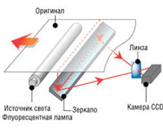 Руководство по выбору сканера для дома и офиса – часть 1 - 2