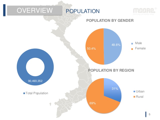 Аналитика: Вьетнам — много свободных ниш и большой рынок сбыта - 3