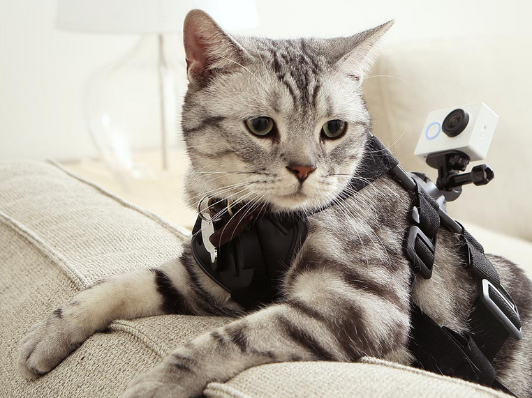 21 причина, почему Xiaomi — не просто производитель смартфонов - 9 21 причина, почему Xiaomi — не просто производитель смартфонов - 9