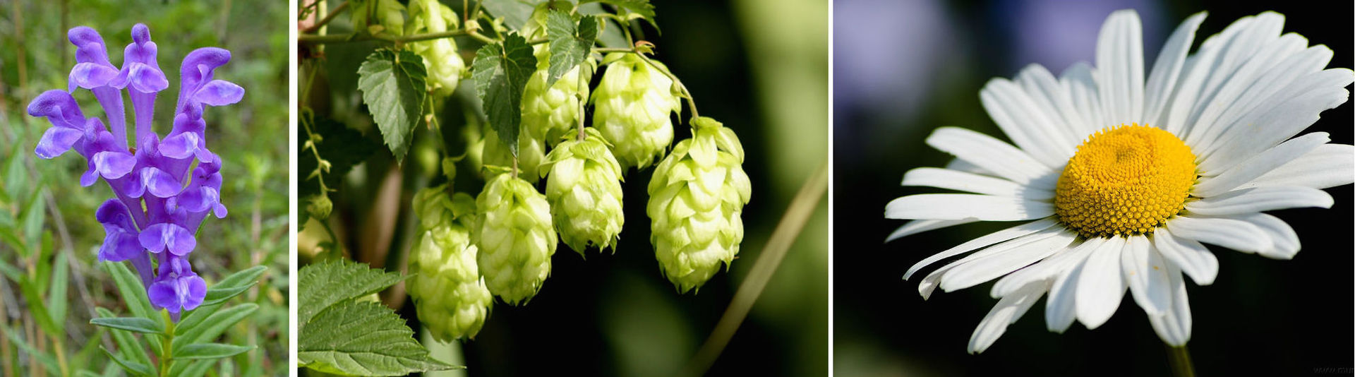 Тем, кто ложится спать, спокойного сна © Знакомимся с брендом AcousticSheep - 3