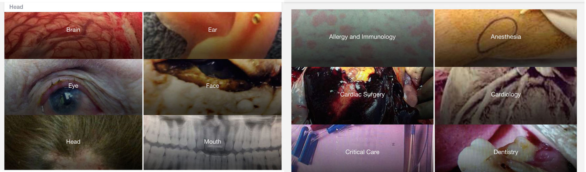 Figure 1 — инстаграм для врачей: чем делятся практикующие медики - 2 Figure 1 — инстаграм для врачей: чем делятся практикующие медики - 2