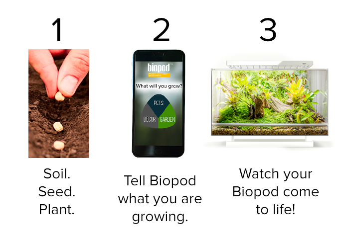 Biopod — умная экосистема в миниатюре с Kickstarter - 2