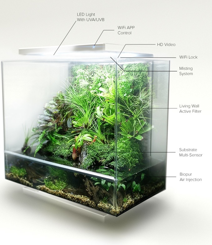 Biopod — умная экосистема в миниатюре с Kickstarter - 4