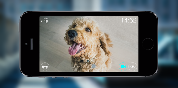 Sentri — универсальная система безопасности, которая может все - 5 Sentri — универсальная система безопасности, которая может все - 5