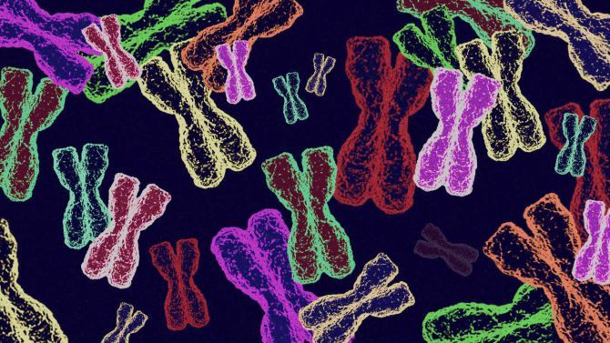 Полиция запрашивает ДНК пользователей у сервисов Ancestry.com и 23andMe - 1 Полиция запрашивает ДНК пользователей у сервисов Ancestry.com и 23andMe - 1