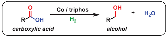 Найден дешёвый катализатор, который превращает карбоновые кислоты в алкоголь - 1
