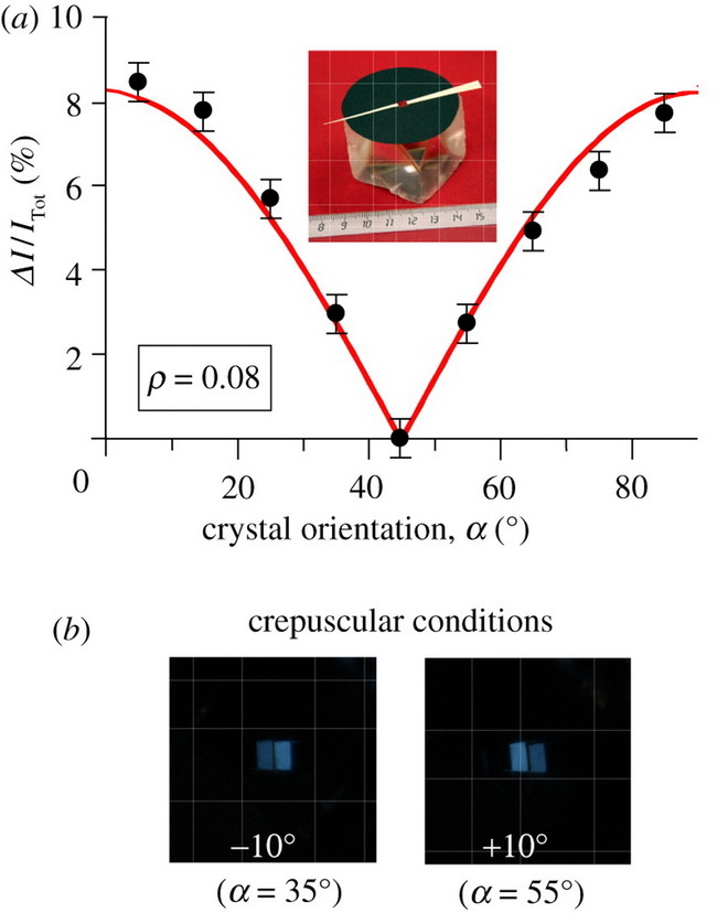 Подводный ”Стоунхендж” у берегов Средиземного моря снова переписывает историю человечества - 6 Подводный ”Стоунхендж” у берегов Средиземного моря снова переписывает историю человечества - 6