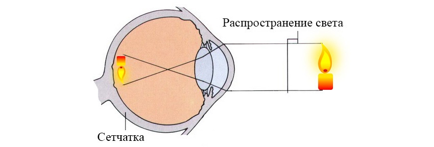 Незрительное действие света - 2