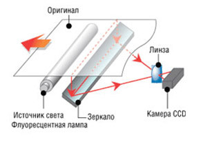 Руководство по выбору сканера для дома и офиса - 3