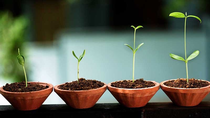 5 полезных советов бизнесмену, или От стартапа до «взрослой» компании - 1