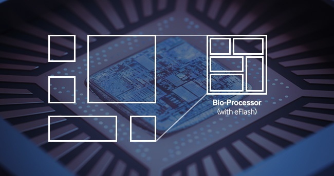 Компания Samsung анонсировала новый био-процессор для носимых устройств - 3