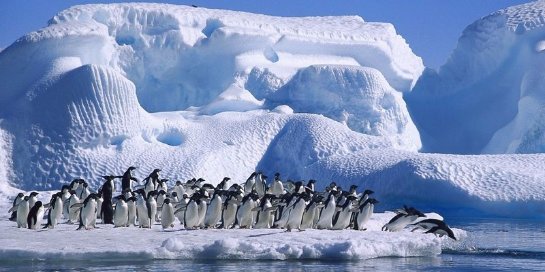 NASA: Арктические льды увеличиваются с каждым годом - 1 1