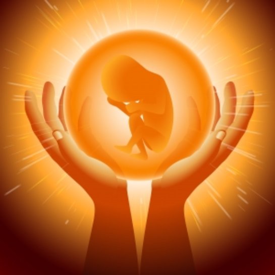 Как происходит зачатие. Видео, которое вас поразит - 1 1