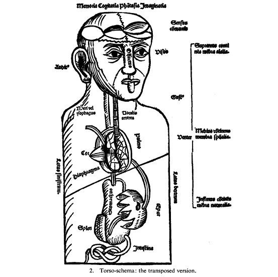 История изучения мозга от Древнего Египта до начала XX века - 14 История изучения мозга от Древнего Египта до начала XX века - 14