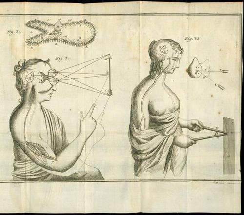 История изучения мозга от Древнего Египта до начала XX века - 24 История изучения мозга от Древнего Египта до начала XX века - 24