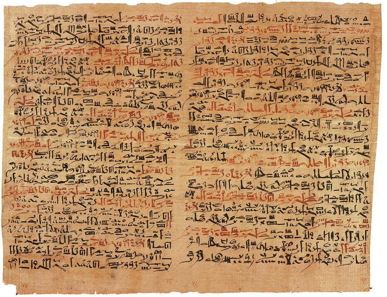 История изучения мозга от Древнего Египта до начала XX века - 4