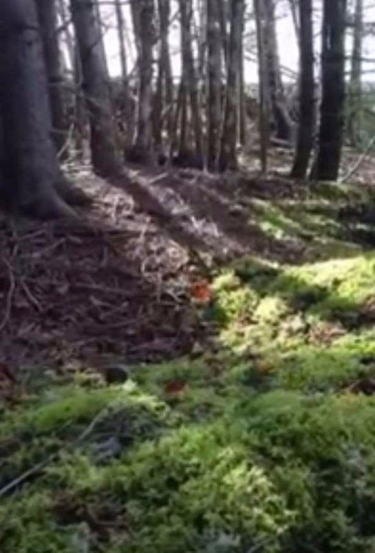 «Дыхание» земли шокировало интернет - 1 1