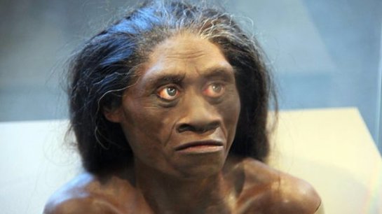 Ученые сделали сенсационное заявление - 1 1