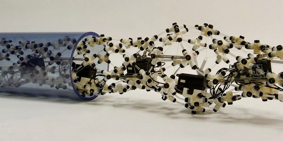 Cоздан прототип биомиметического червя-бота с сетью искусственных “нейронов” - 1