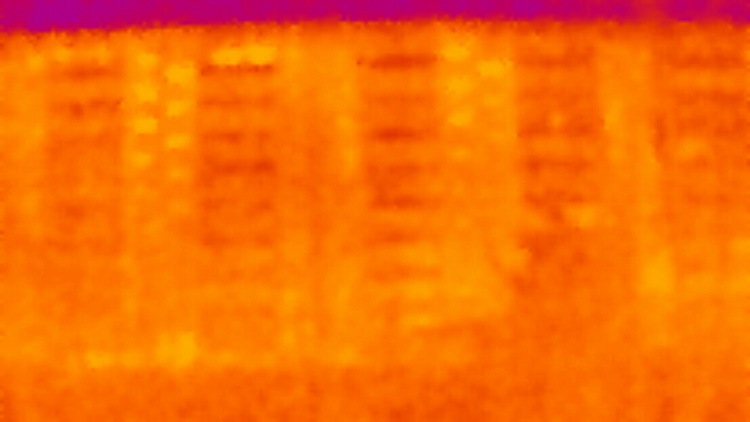 Увидеть невидимое! «Seek Thermal» — тепловизор из Санта-Барбары - 25