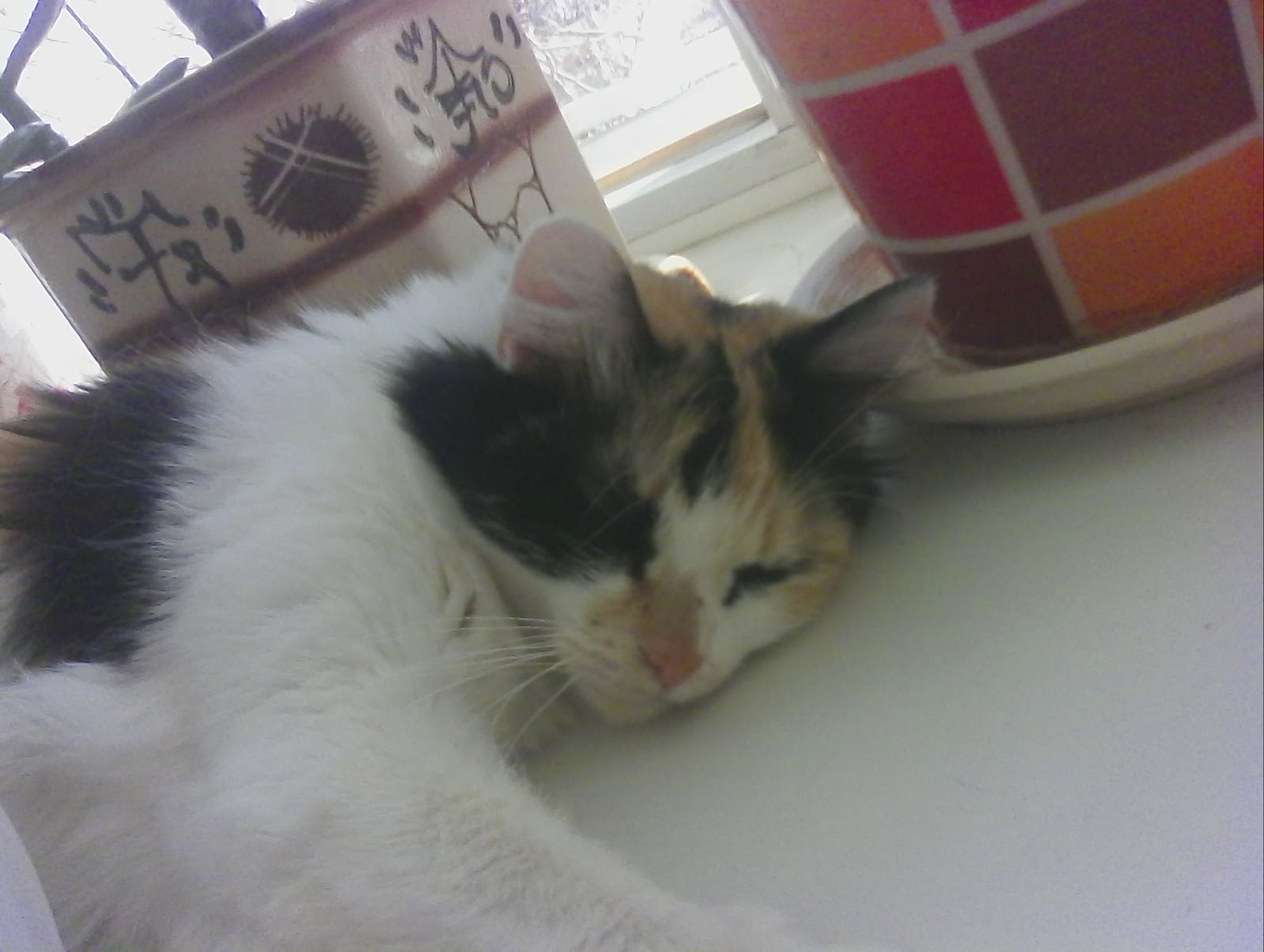 Обзор 7-дюймового bb-mobile Techno MOZG 7.0 на Intel® Atom™ X3 - 29 Обзор 7-дюймового bb-mobile Techno MOZG 7.0 на Intel® Atom™ X3 - 29