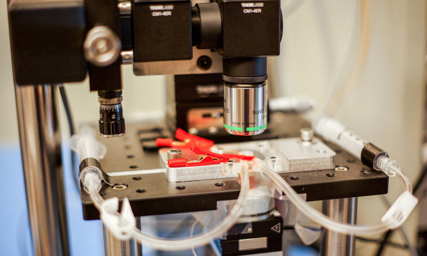 Микроскоп нового типа позволяет снимать ход химической реакции в реальном времени - 1