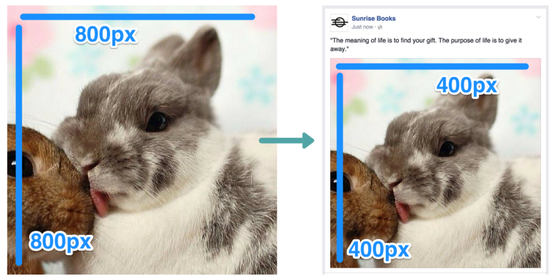Алгоритм выбора размера изображения для социальных сетей: Руководство от эксперта Buffer - 3