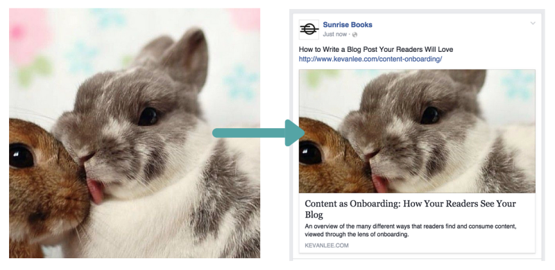 Алгоритм выбора размера изображения для социальных сетей: Руководство от эксперта Buffer - 7 Алгоритм выбора размера изображения для социальных сетей: Руководство от эксперта Buffer - 7