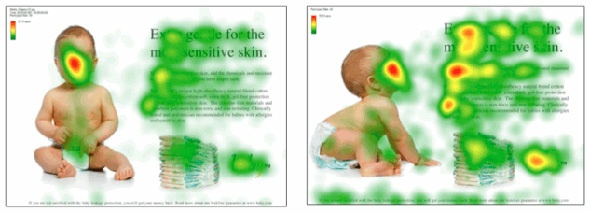 Создание веб-сайта. Курс молодого бойца - 17 Создание веб-сайта. Курс молодого бойца - 17