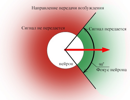 Электромагнитное взаимодействие нейронов - 4