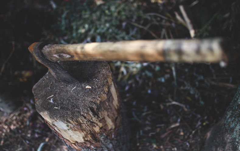 «Семь навыков высокоэффективных людей». Книга за 15 минут - 4 «Семь навыков высокоэффективных людей». Книга за 15 минут - 4