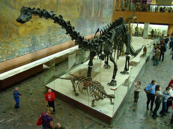 Куда сходить гику на выходных и праздниках в Москве? - 15 Куда сходить гику на выходных и праздниках в Москве? - 15