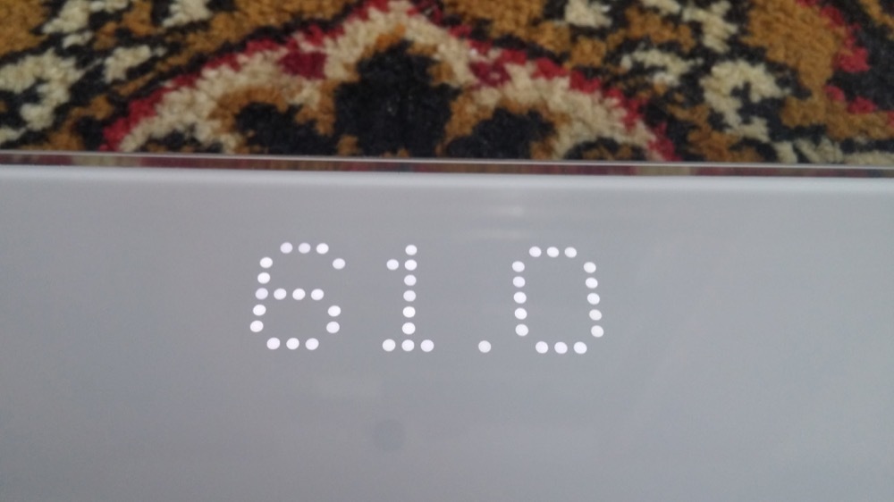 Новогодняя битва: весы Xiaomi Mi Smart Scales против вкусняшек и нездорового образа жизни - 5