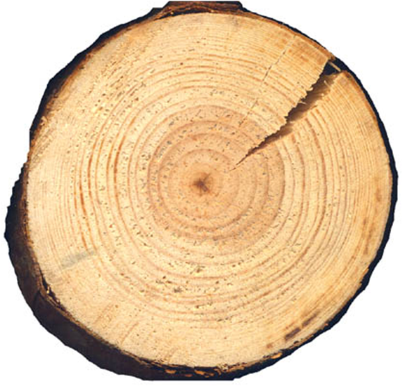 Постановка задачи компьютерного зрения - 16 Постановка задачи компьютерного зрения - 16