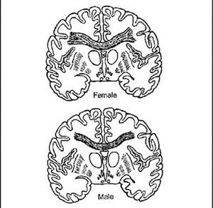 Мужчины VS Женщины. Как мы принимаем решение о покупке… - 2 image