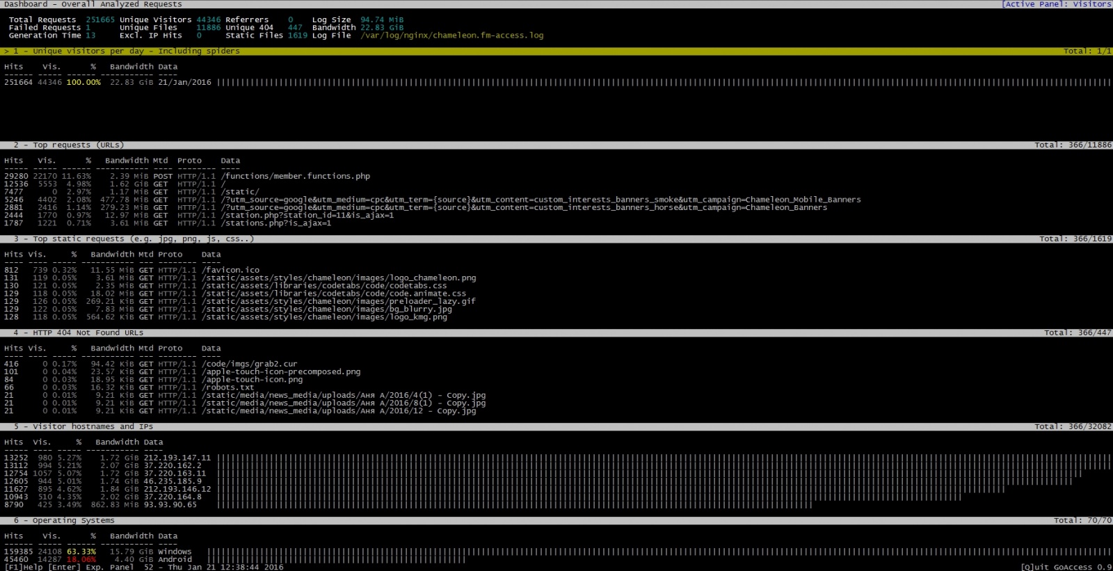 Анализ логов сервера с помощью GoAccess - 2 image