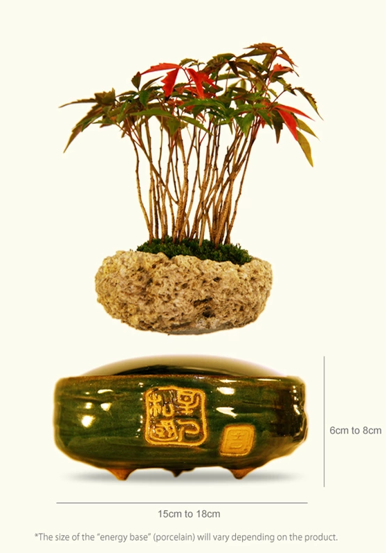 «Air Bonsai» – парящее дерево - 4