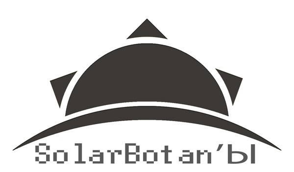 Solarbotan – собираем боевого робота своими руками - 2
