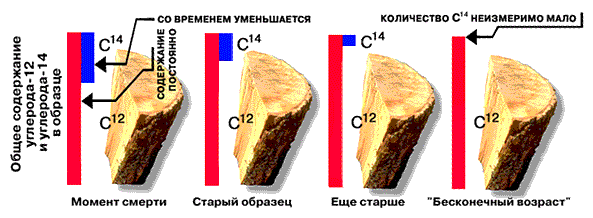 Застывшее время. Научные подходы к датированию - 7