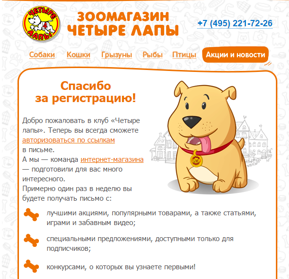 Автоматизация email маркетинга - 12