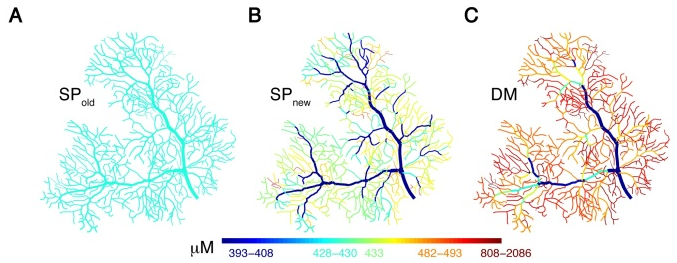 Глубинное обучение и работа мозга: Когда наступит технологическая сингулярность - 2 Глубинное обучение и работа мозга: Когда наступит технологическая сингулярность - 2