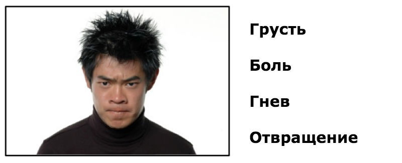 Как распознать эмоции человека по его лицу: Тест для сотрудников финансовых компаний - 11